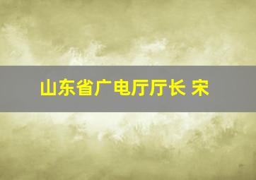 山东省广电厅厅长 宋